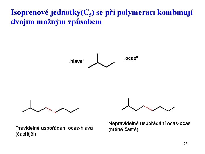 Isoprenové jednotky(C 5) se při polymeraci kombinují dvojím možným způsobem „hlava" Pravidelné uspořádání ocas-hlava