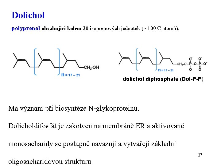 Dolichol polyprenol obsahující kolem 20 isoprenových jednotek ( 100 C atomů). dolichol diphosphate (Dol-P-P)