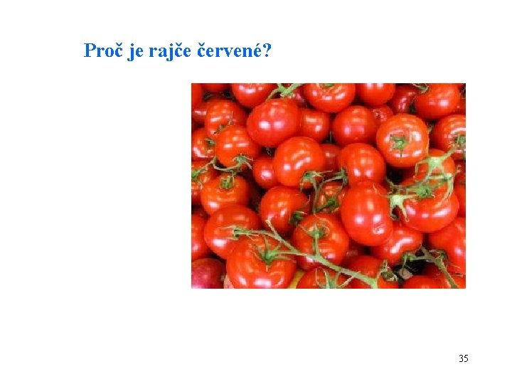 Proč je rajče červené? 35 