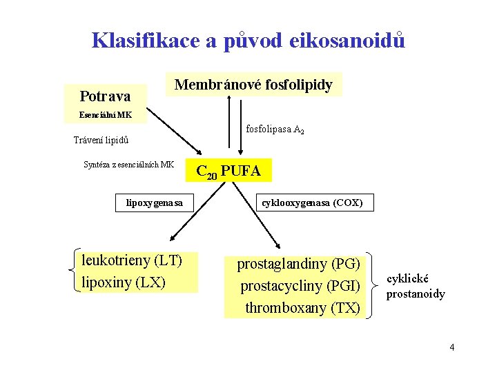 Klasifikace a původ eikosanoidů Potrava Membránové fosfolipidy Esenciální MK Trávení lipidů Syntéza z esenciálních