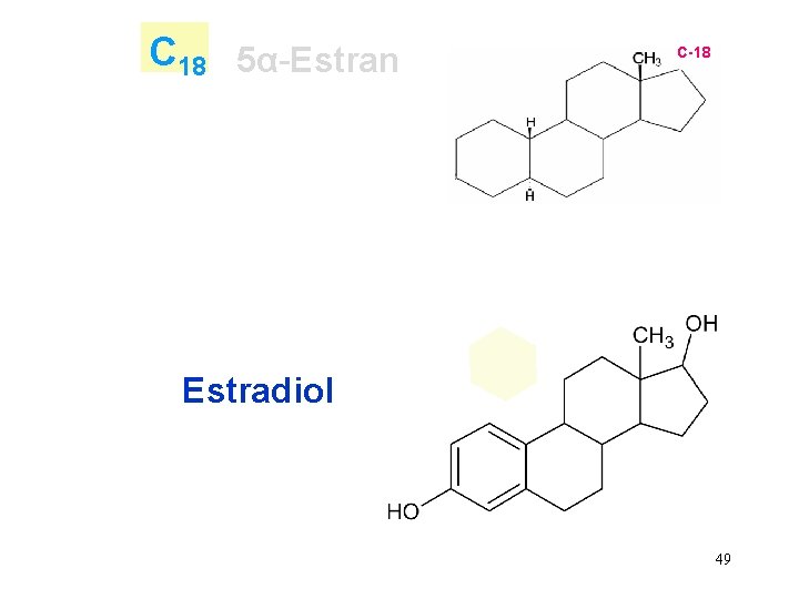 C 18 5α-Estran C-18 Estradiol 49 