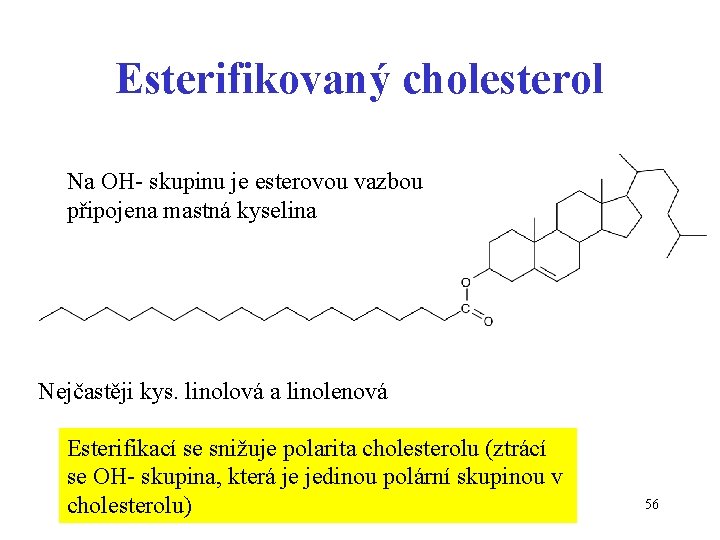Esterifikovaný cholesterol Na OH- skupinu je esterovou vazbou připojena mastná kyselina Nejčastěji kys. linolová