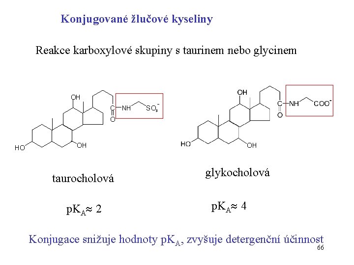 Konjugované žlučové kyseliny Reakce karboxylové skupiny s taurinem nebo glycinem OH C NH SO