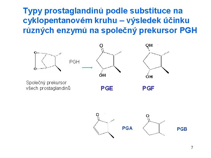 Typy prostaglandinů podle substituce na cyklopentanovém kruhu – výsledek účinku různých enzymů na společný