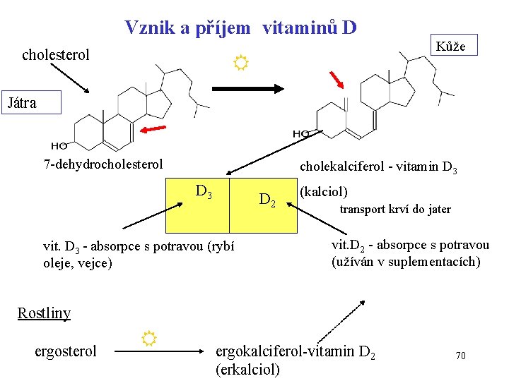 Vznik a příjem vitaminů D cholesterol Kůže Játra 7 -dehydrocholesterol cholekalciferol - vitamin D