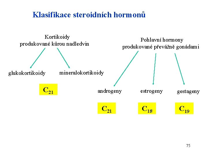 Klasifikace steroidních hormonů Kortikoidy produkované kůrou nadledvin glukokortikoidy C 21 Pohlavní hormony produkované převážně