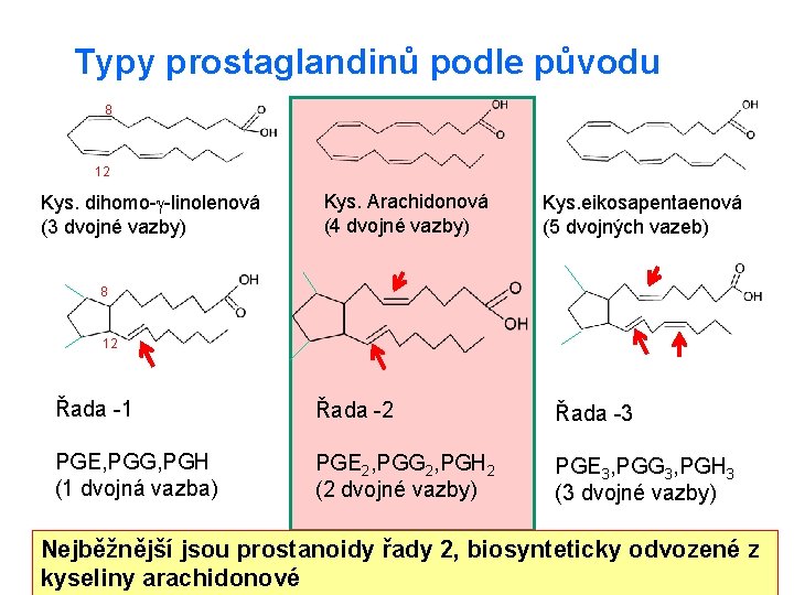 Typy prostaglandinů podle původu 8 12 Kys. dihomo- -linolenová (3 dvojné vazby) Kys. Arachidonová