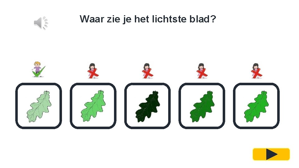 Waar zie je het lichtste blad? 