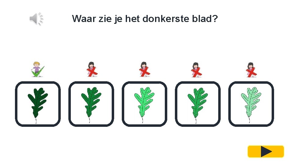 Waar zie je het donkerste blad? 