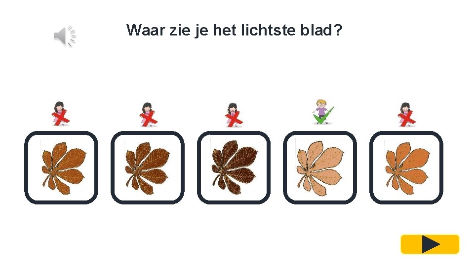 Waar zie je het lichtste blad? 