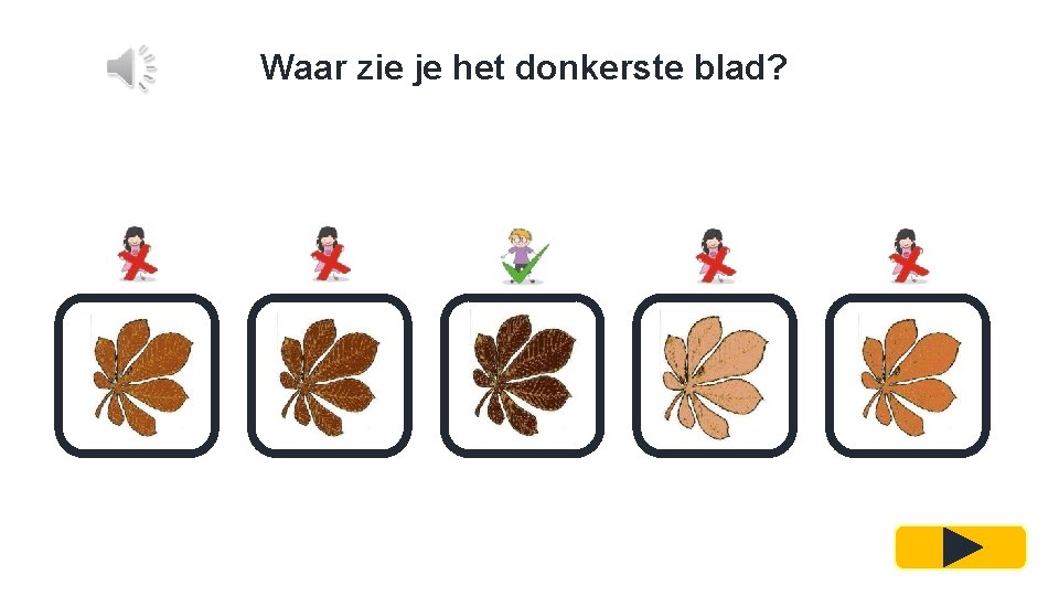 Waar zie je het donkerste blad? 