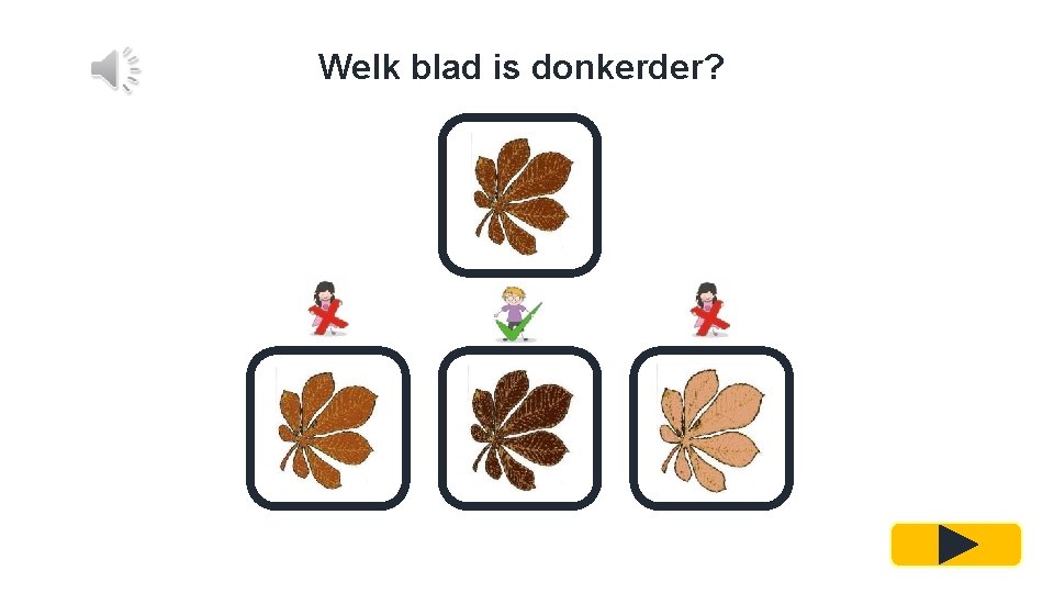 Welk blad is donkerder? 