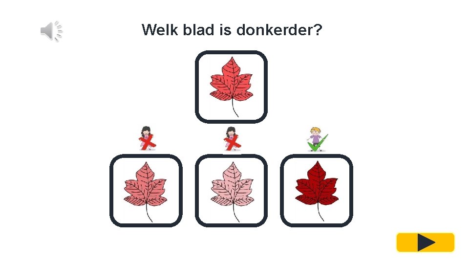 Welk blad is donkerder? 