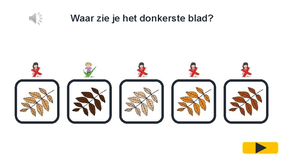 Waar zie je het donkerste blad? 