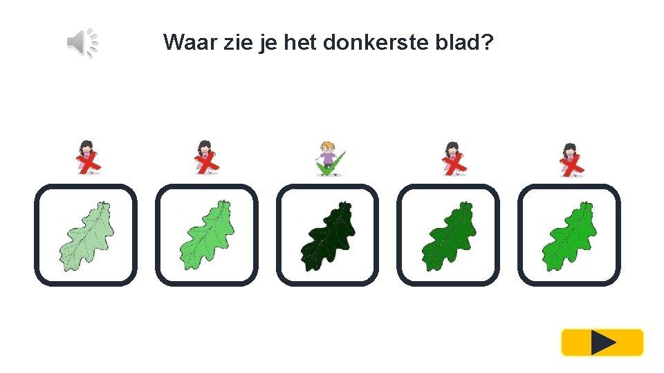 Waar zie je het donkerste blad? 