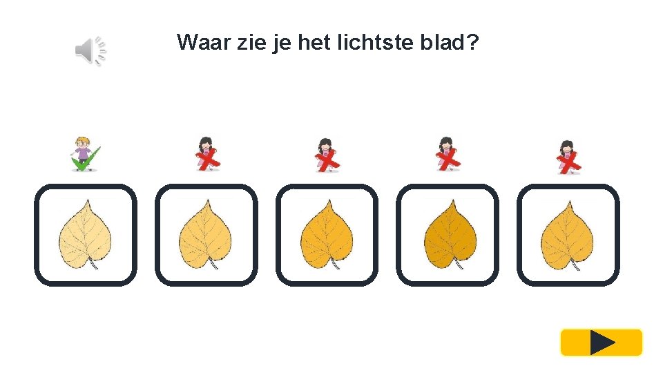 Waar zie je het lichtste blad? 