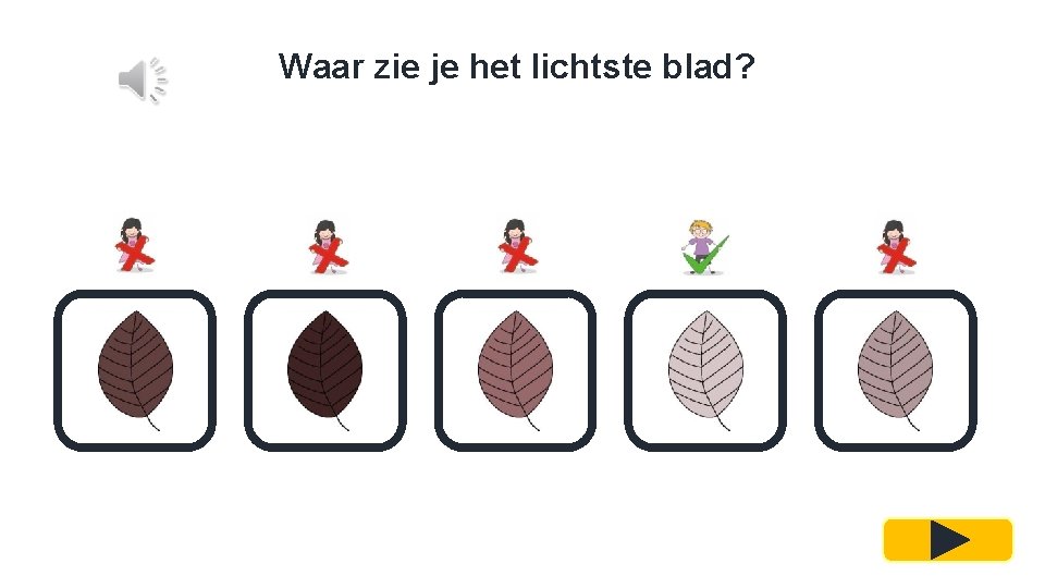 Waar zie je het lichtste blad? 