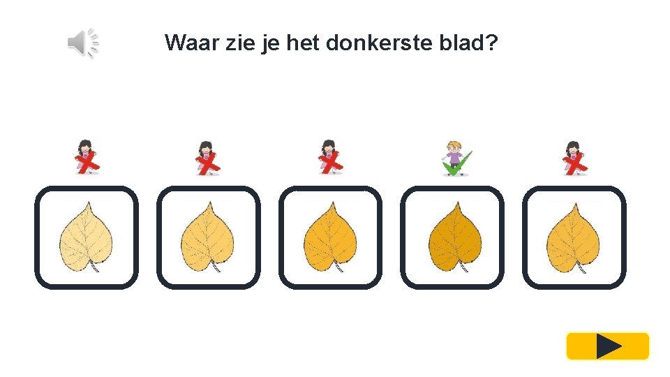 Waar zie je het donkerste blad? 