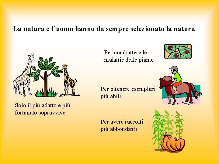 La natura e l’uomo hanno da sempre selezionato la natura Per combattere le malattie