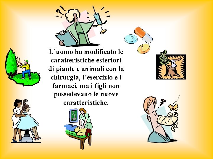 L’uomo ha modificato le caratteristiche esteriori di piante e animali con la chirurgia, l’esercizio