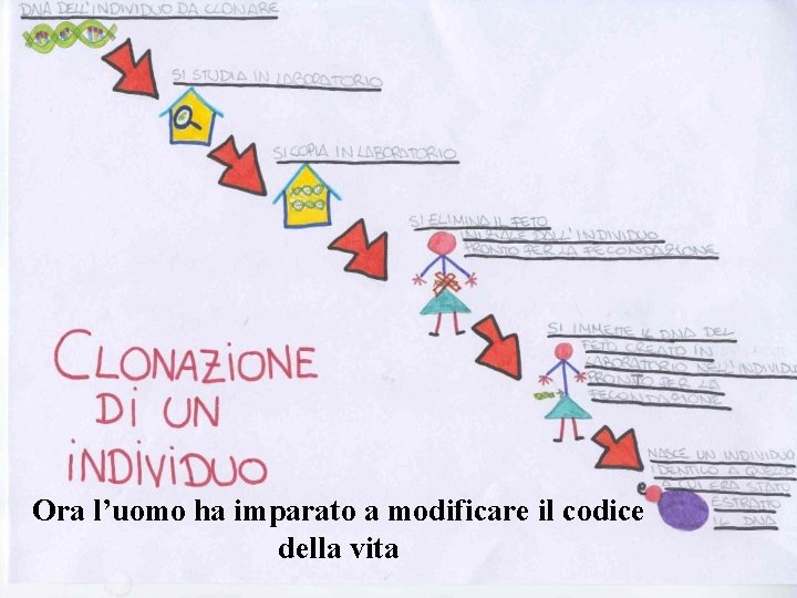 Ora l’uomo ha imparato a modificare il codice della vita 