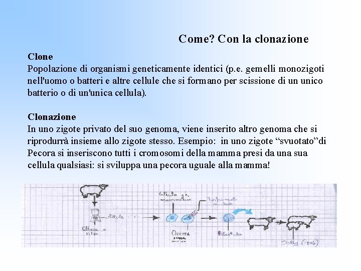 Come? Con la clonazione Clone Popolazione di organismi geneticamente identici (p. e. gemelli monozigoti