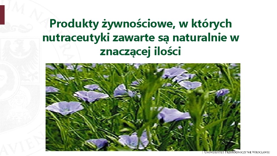 Produkty żywnościowe, w których nutraceutyki zawarte są naturalnie w znaczącej ilości 