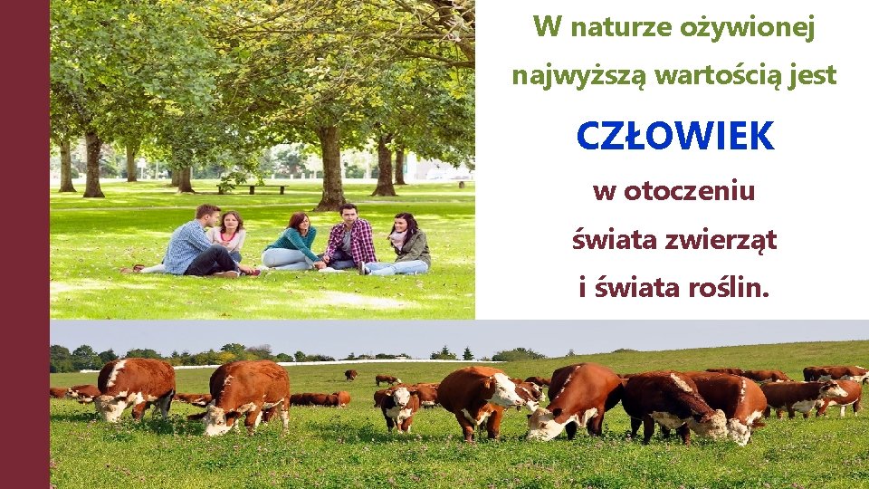 W naturze ożywionej najwyższą wartością jest CZŁOWIEK w otoczeniu świata zwierząt i świata roślin.