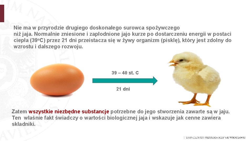 Nie ma w przyrodzie drugiego doskonałego surowca spożywczego niż jaja. Normalnie zniesione i zapłodnione