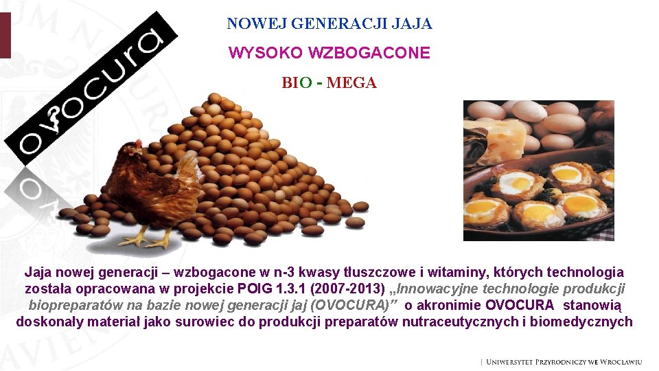 NOWEJ GENERACJI JAJA WYSOKO WZBOGACONE BIO - MEGA Jaja nowej generacji – wzbogacone w