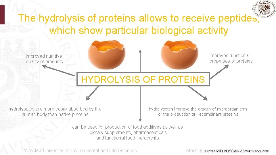 The hydrolysis of proteins allows to receive peptides, which show particular biological activity improved