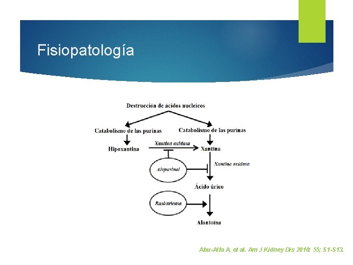 Fisiopatología Abu-Alfa A, et al. Am J Kidney Dis 2010: 55; S 1 -S