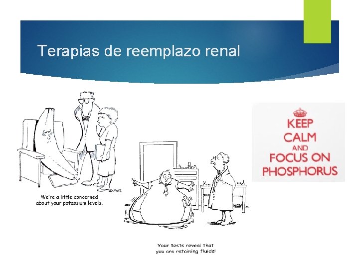 Terapias de reemplazo renal 