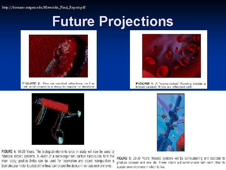 http: //bionano. rutgers. edu/Mavroidis_Final_Report. pdf Future Projections 