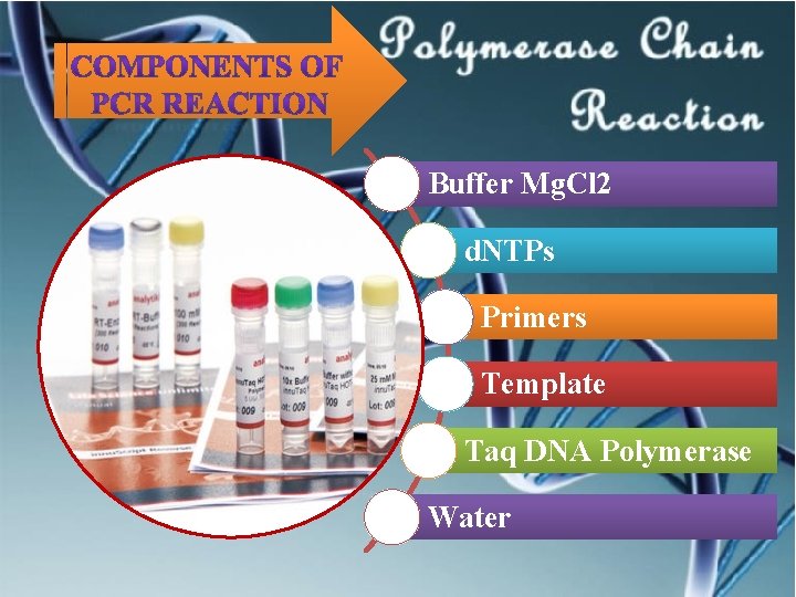 Buffer Mg. Cl 2 d. NTPs Primers Template Taq DNA Polymerase Water 