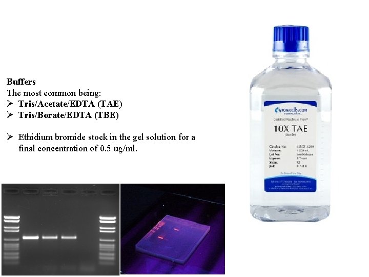 Buffers The most common being: Ø Tris/Acetate/EDTA (TAE) Ø Tris/Borate/EDTA (TBE) Ø Ethidium bromide