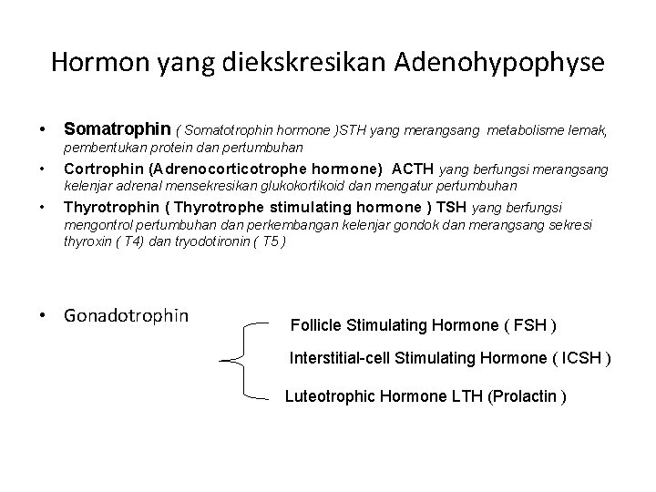 Hormon yang diekskresikan Adenohypophyse • Somatrophin ( Somatotrophin hormone )STH yang merangsang metabolisme lemak,