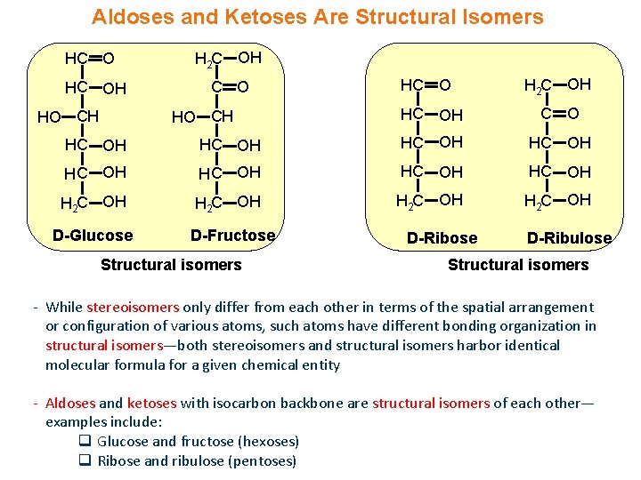 Aldoses and Ketoses Are Structural Isomers HC OH HO CH H 2 C OH