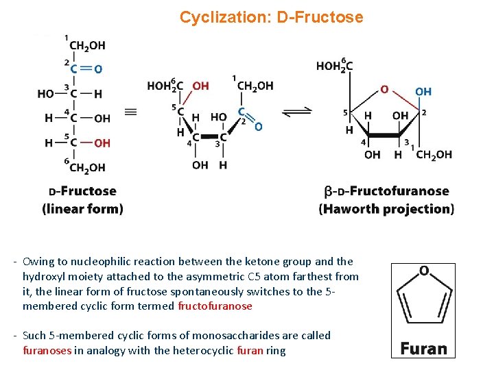 Cyclization: D-Fructose - Owing to nucleophilic reaction between the ketone group and the hydroxyl