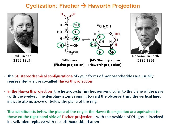 Cyclization: Fischer Haworth Projection Emil Fischer (1852 -1919) D-Glucose (Fischer projection) -D-Glucopyranose (Haworth projection)