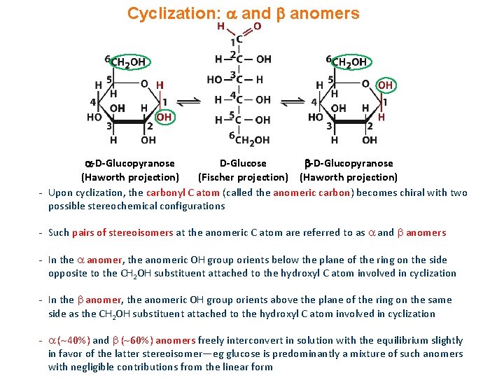 Cyclization: and anomers -D-Glucopyranose D-Glucose -D-Glucopyranose (Haworth projection) (Fischer projection) (Haworth projection) - Upon