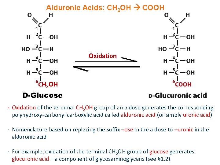 Alduronic Acids: CH 2 OH COOH Oxidation H 2 OH D-Glucose - Oxidation of