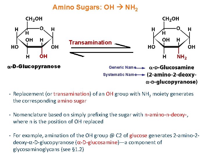 Amino Sugars: OH NH 2 Transamination OH -D-Glucopyranose Generic Name Systematic Name - Replacement