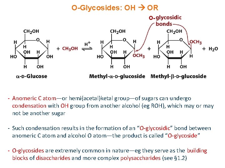 O-Glycosides: OH OR O- - Anomeric C atom—or hemi(acetal)ketal group—of sugars can undergo condensation