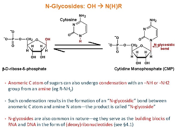 N-Glycosides: OH N(H)R Cytosine OH H N-glycosidic bond OH OH -D-ribose-5 -phosphate Cytidine Monophosphate