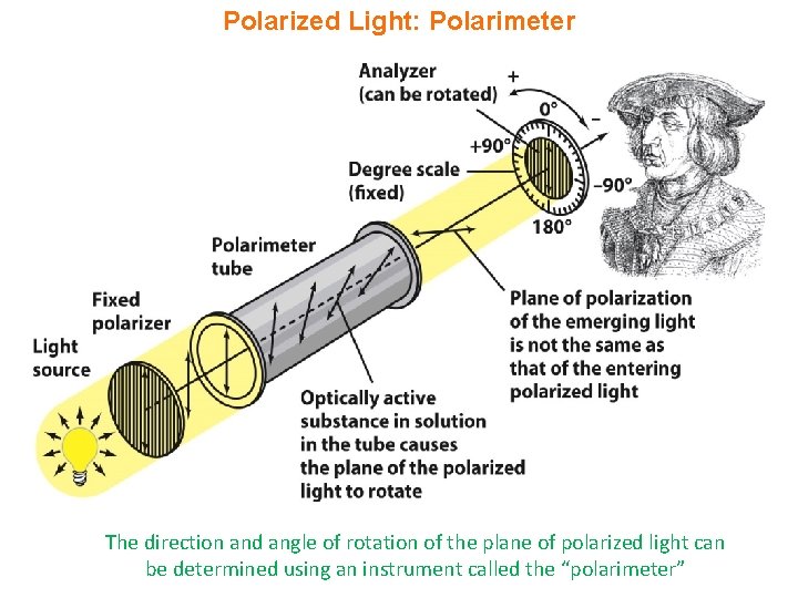 Polarized Light: Polarimeter The direction and angle of rotation of the plane of polarized