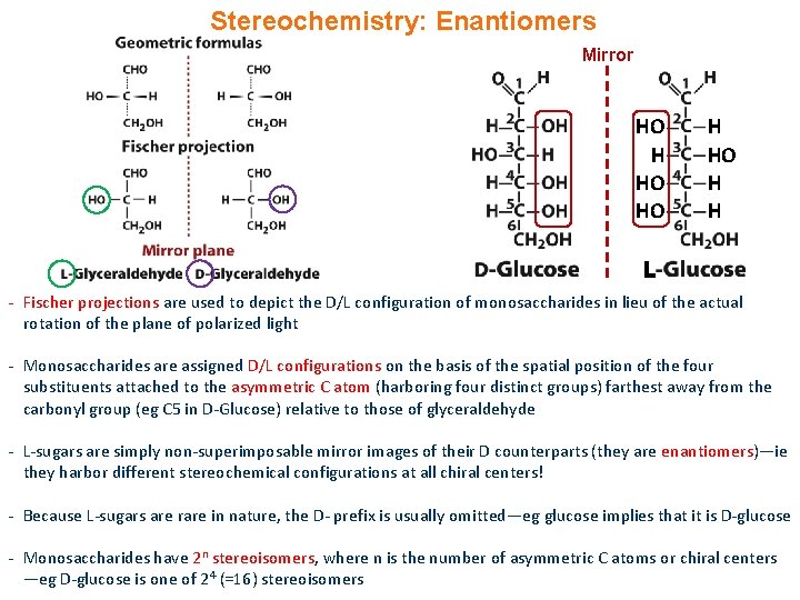 Stereochemistry: Enantiomers Mirror HO H H L - Fischer projections are used to depict