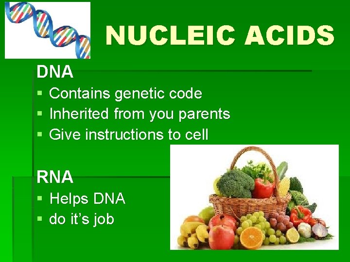NUCLEIC ACIDS DNA § § § Contains genetic code Inherited from you parents Give