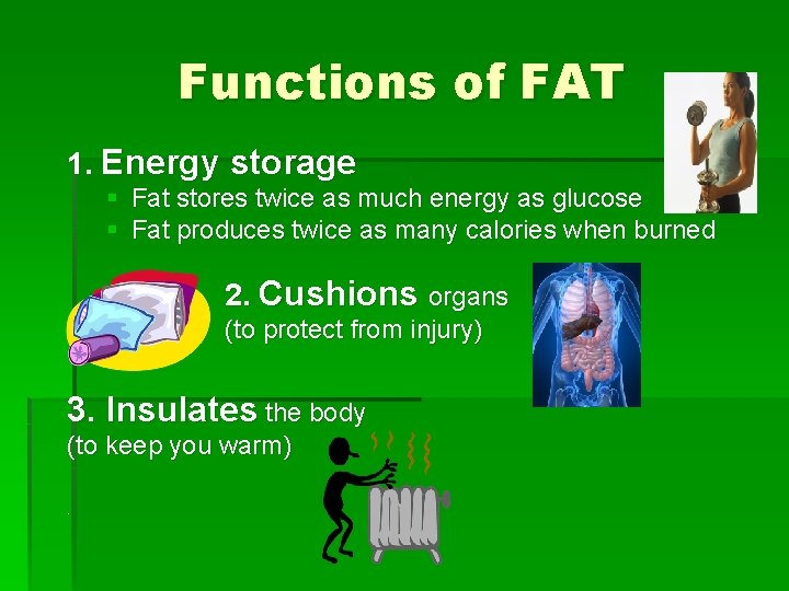 Functions of FAT 1. Energy storage § Fat stores twice as much energy as