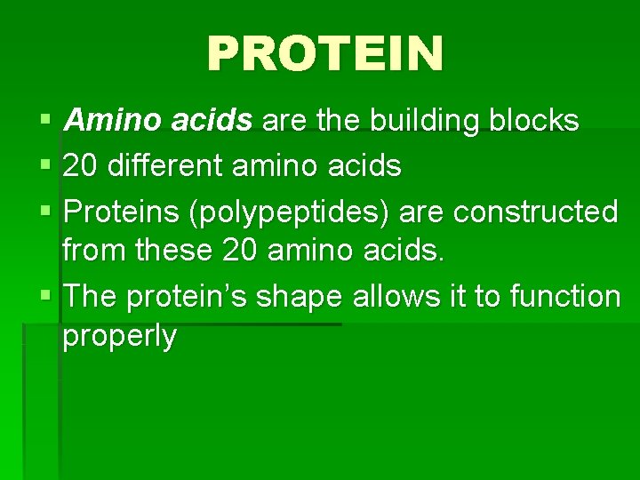 PROTEIN § Amino acids are the building blocks § 20 different amino acids §